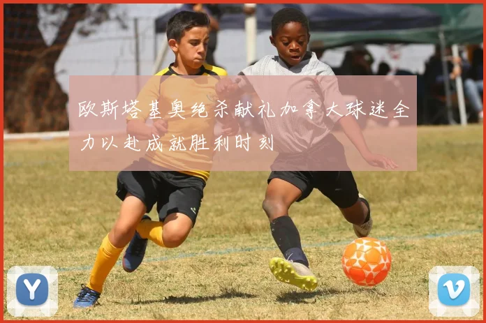 欧斯塔基奥绝杀献礼加拿大球迷全力以赴成就胜利时刻