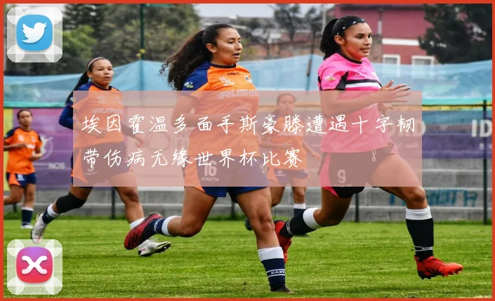 埃因霍温多面手斯豪滕遭遇十字韧带伤病无缘世界杯比赛